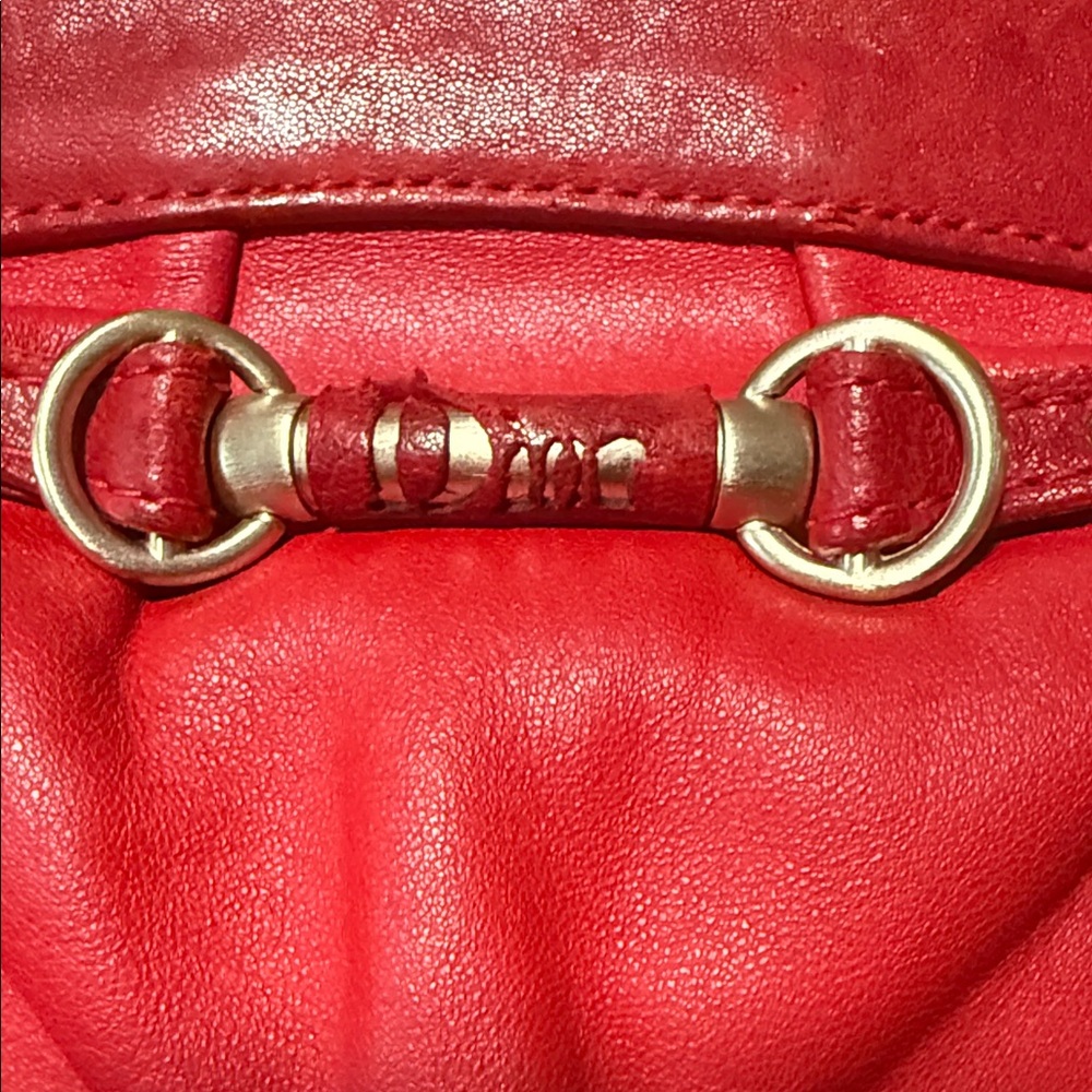 Dior Detective Bag - Picture 4 of 15